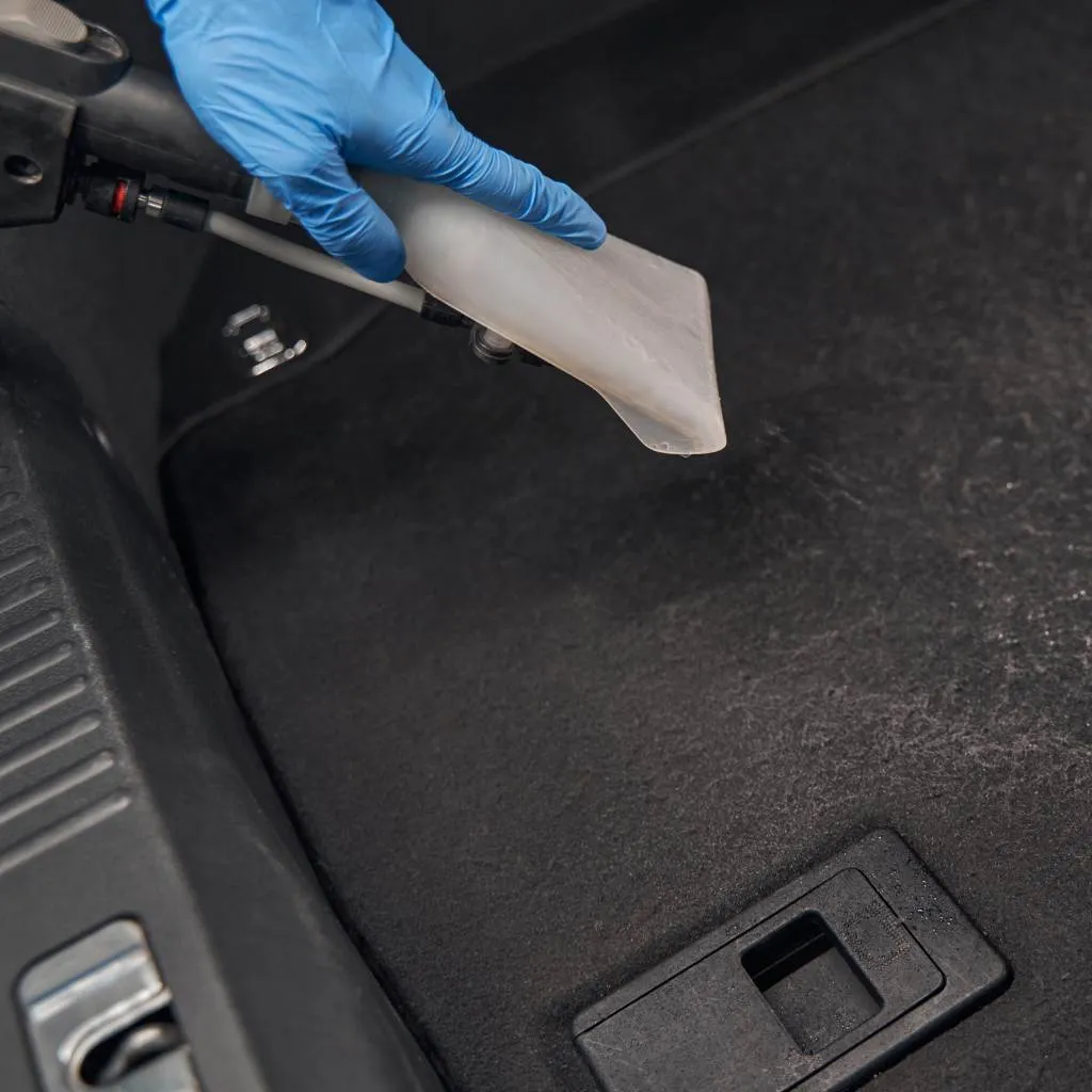 Vaccuming Interior of car